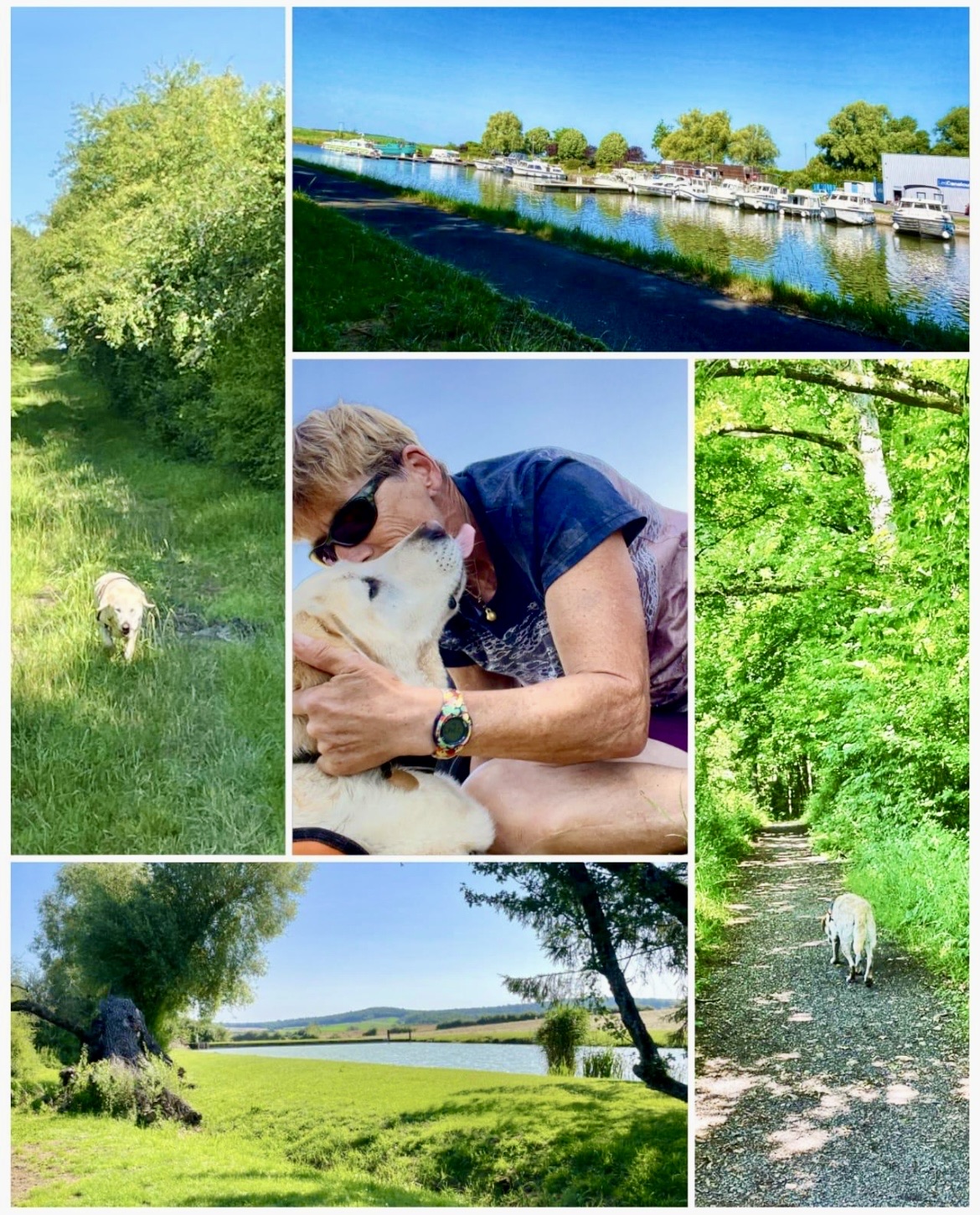 👣 Joëlle Melder : un incroyable périple avec son chien guide entre Strasbourg et Metz 🐾