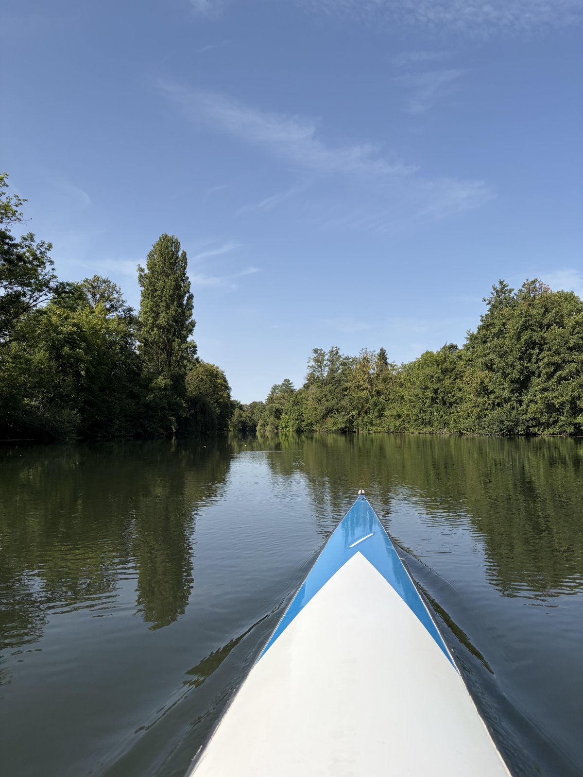  🌊 C’est la rentrée au Rowing Club de Strasbourg !